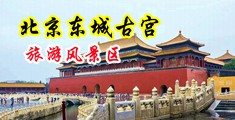 大鸡吧操小泌视频中国北京-东城古宫旅游风景区
